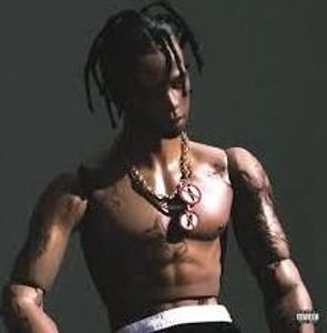 Travis Scott - Rodeo (2 LP)