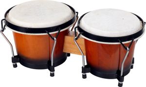 Proline Bongo Satz