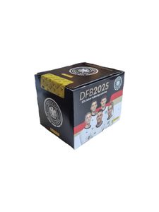 Panini 125 Jahre DFB Fussball Sticker | 1x Display je 36x Stickertüten