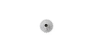 SRAM 00.2418.042.002 Zahnkranz-Kassette PG-1170, 11-fach (11-12-13-14-15-16-17-19-22-25-28), silber