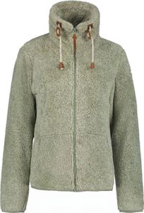 Icepeak Colony Teddy Fleecejacke Damen Langhaarfleecejacke, Farbe:Pistazie, Größe:L Icepeak Colony Teddy Fleecejacke Damen Langhaarfleecejacke, Farbe:Pistazie, Größe:L