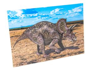 3 D Ansichtskarte Dinosaurier Triceratops, Postkarte Wackelkarte Hologrammkarte Tiere Tier Dinos