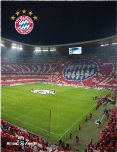 FC Bayern München Teppich Allianz-Arena 100x130 cm FC Bayern München Teppich Allianz-Arena 100x130 cm