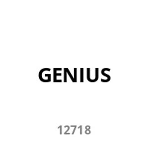 GENIE USB-Stick Fiat 500 32 GB