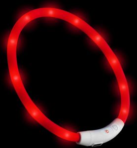 PRECORN LED USB-C Halsband Hund Silikon Hundehalsband Leuchthalsband für Hunde aufladbar per USB-C (Größe S-L auf 18-65 cm individuell kürzbar) in rot