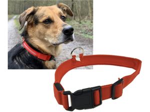 ChiliTec Hunde Halsband mit LED Beleuchtung Sicherheitslicht, Stabiler Clip und gehärteter Metallring, 28-60 cm Größe S - XL, rot (M = 35-43cm, ROT)