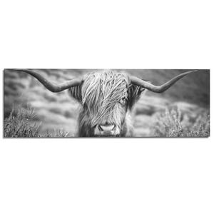 Wandbild Deco Panel Highlander Bulle Tiermotiv - Nahaufnahme - Hochlandrind Bild