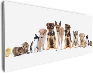 Wallario Premium Leinwandbild Süße Haustiere - Katzen  Hunde  Hamster  Küken II in Größe 50 x 125 cm