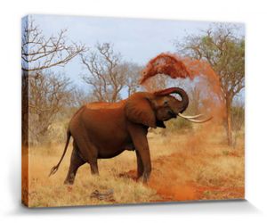 Elefanten Poster Leinwandbild Auf Keilrahmen - Afrikanischer Elefant Nimmt Eine Sanddusche (60 x 80 cm)