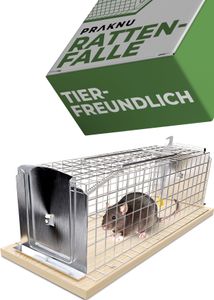 Rattenfalle Lebendfalle 30 cm Groß - Tierfreundlich & Wiederverwendbar - Sofort Einsatzbereit - Für Ratten & Wühlmäuse