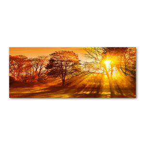 Tulup® Leinwandbild - 125x50 cm - Wandkunst - Drucke auf Leinwand - Leinwanddruck  - Landschaften - Orange - Sonnenuntergang