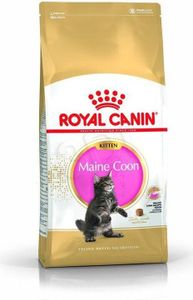 Royal Canin Feline Maine Coon Kitten - 400 g