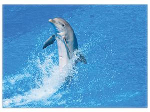 Wallario Premium Teppich, Größe 50 x 70 cm, Fröhlicher Delfin im blauen Wasser