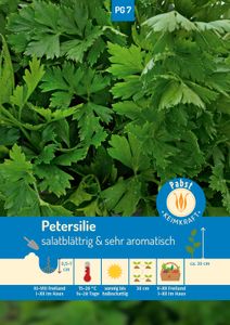 Petersilie salatblättrig & sehr aromatisch Gigante di Napoli 1.000 Samen