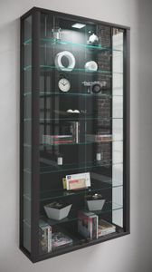 Vitrosa Maxi Vitrinenschrank Wandhängend mit 2 Glastüren 8 Glasböden. schwarz.