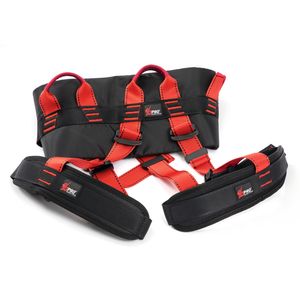 4D Pro Beckengurt "Bungee Dance Harness"