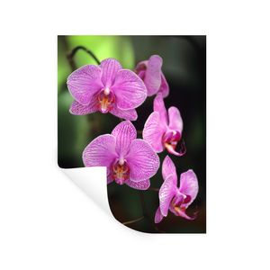 Welche Kriterien es vor dem Kauf die Wandsticker orchidee zu beurteilen gibt