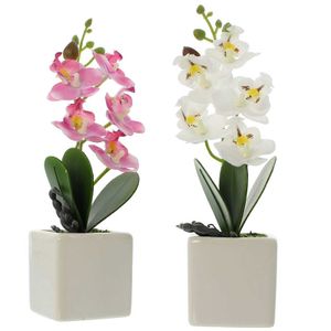 Unsere besten Testsieger - Suchen Sie bei uns die Orchideen künstlich Ihrer Träume
