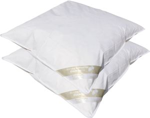 2 Stück Betten Hofmann Canada Flachkissen 80x80 cm Kopfkissen Kinderkissen 450 g