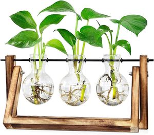 Hydroponik Vase Hängevase - Deko Holz Halter mit Hydroponik Glasvase Desktop Plant Terrarium Kreative Glas Transparente Vase für Hydrokultur Pflanzen, Zuhause oder Büro Dekoration