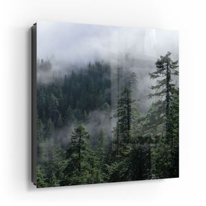 DEQORI Schlüsselkasten Glasfront schwarz links 30x30 cm 'Tannenspitzen im Nebel' Box