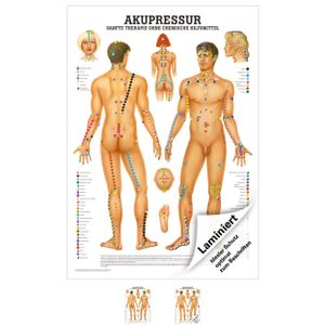 Akupressur Mini-Poster Anatomie 34x24 cm medizinische Lehrmittel