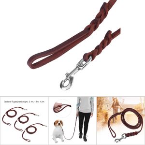Fdit Hundehalsband, Leder Braun Hund Hund Leine Sicherheitsseil Ledergürtel für Walking Lauftraining (2.1M)