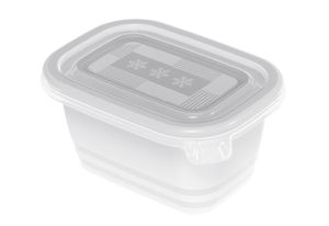 Rotho Freeze 6er-Set Gefrierboxen 0.25l mit Deckel, Kunststoff (PP) BPA-frei, transparent, 6 x 0.25l (11.2 x 7.8 x 13.2 cm)