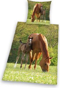 Pościel Herding Horse ze źrebakiem Pościel z plisą guzikową / z guzikami 80/80+135/200 cm