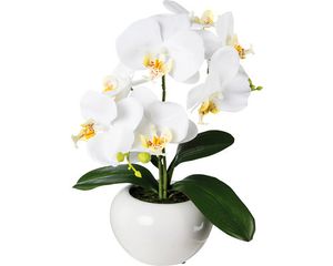 Umělá květina orchidej phalaenopsis 35 cm bílá v keramickém květináči Real Touch