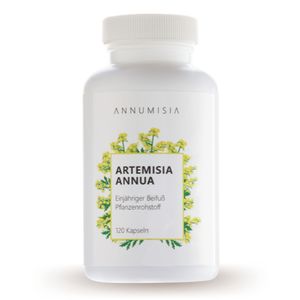 Annumisia - Artemisia Annua Extrakt Kapseln - Einjähriger Beifußextrakt