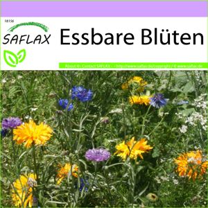 SAFLAX - Wildblumen: Essbare Blüten - 1000 Samen - 12 Wildflower Mix
