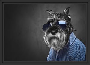 Lustiger Hund mit Hemd und Sonnenbrille B&W Detail im Schattenfugen Bilderrahmen / Format: 55x40 im Schattenfugen-Bilderrahmen / Kunstdruck auf hochwertigem Galeriekarton / hochwertige Leinwandbild Alternative