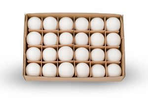 Hühnereier Weiß, Karton mit 24 Stück, ausgeblasen und gereinigt | Dekoeier