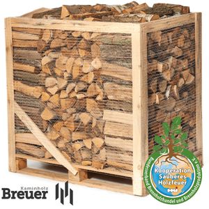 1 RM PREMIUM Laubholz Mix Brennholz | 25cm | kammergetrocknet | auf Palette | 500kg | Kaminholz | 1,6 SRM