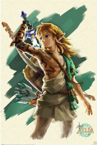 Pyramid International The Legend of Zelda Tears of the Kingdom Poster Set Link Unleashed 61 x 91 cm (5)