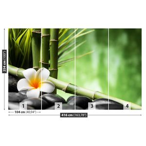 Fototapete 416x254 cm - Vlies-Fototapete - Frangipani-Bambus