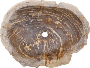 Massives Fossiles Holz Aufsatz-Waschbecken, Waschschale, Naturstein Handwaschbecken - Modell 19, Creme-weiß, FossilesHolz, 15*61*47 cm, Waschtische & Waschbecken