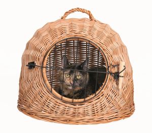 Trixie Rattan-Katzenkorb mit Tür