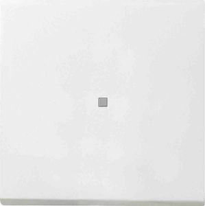 Gira Wippe Tast-Kontroll Flächenschalter Reinweiß 0914112