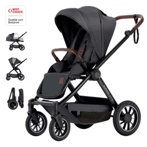 Daliya® ALPINO Buggy / Kinderwagen 0-36 Monate / Sportwagen mit Liegeposition / Schiebegriff höhenverstellbar / Schwarz - Schwarz