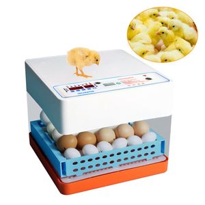 24-Eier Vollautomatische Brutmaschine Brutapparat mit LED Temperaturanzeige Präzieser Temperaturfühler Flächenbrüter Konstanttemperatursystem Inkubator für Geflügel Vögel Reptilien
