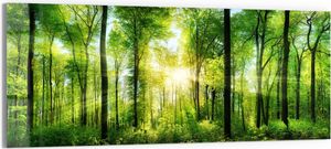 DEQORI Glasbild Echtglas 150x60 cm 'Sonne durchbricht Wald' Wandbild Bild modern Deko DEQORI Glasbild Echtglas 150x60 cm 'Sonne durchbricht Wald' Wandbild Bild modern Deko