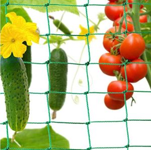 Ranknetz Kletterpflanzen Gartennetz Netz für Gurken Tomaten und Anderen Vogelschutznetz Gemüsepflanzen Rankhilfen Netz für Kletterpflanzen