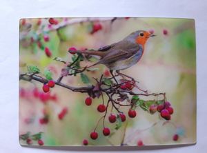 3 D Ansichtskarte Rotkehlchen, Postkarte Wackelkarte Hologrammkarte Tiere Vogel