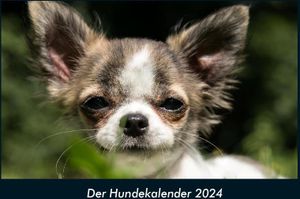 Tobias Becker: Hundekalender 2024 Fotokalender DIN A4