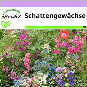 SAFLAX - Wildblumen: Schattengewächse - 1000 Samen - 19 Sorten