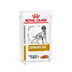 Royal Canin Urinary S/O 48x100 g | Nassfutter für Hunde | Struvitsteine