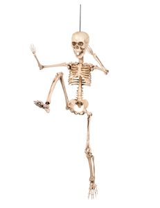 Halloween Dekoration bewegliches Skelett weiss 50 cm