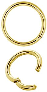 Karisma Hinged Titan G23 Segment Ring Nasenring Nasenpiercing- 1,2x8mm - Gold